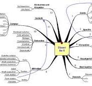 projektmanagement mindmap