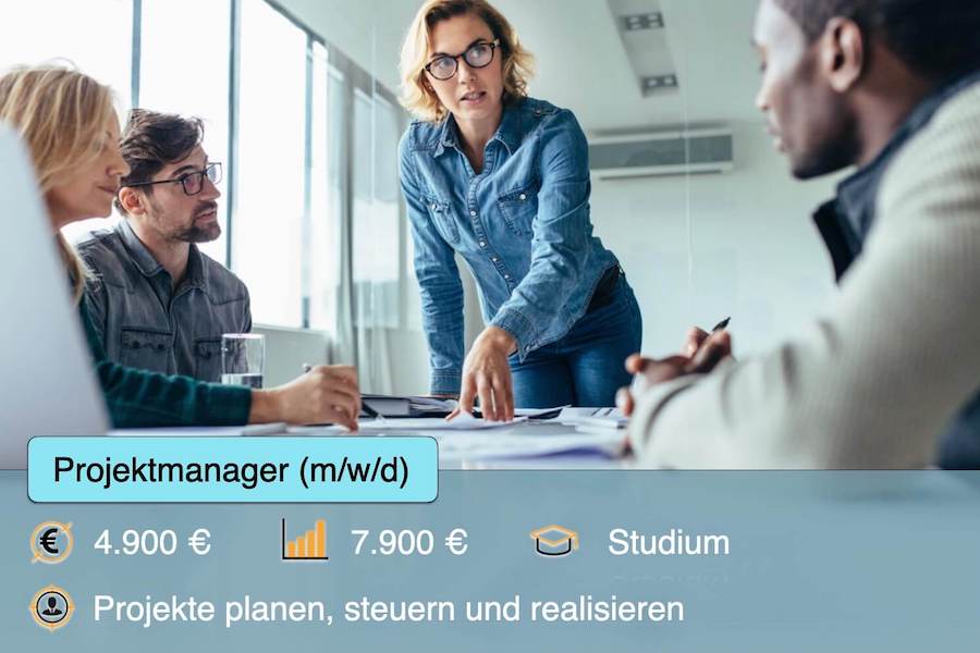 tätigkeitsbeschreibung projektmanager