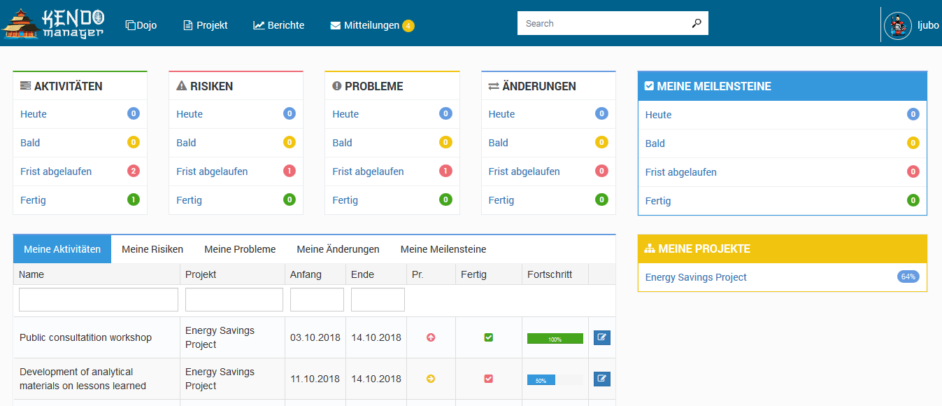 multi projektmanagement