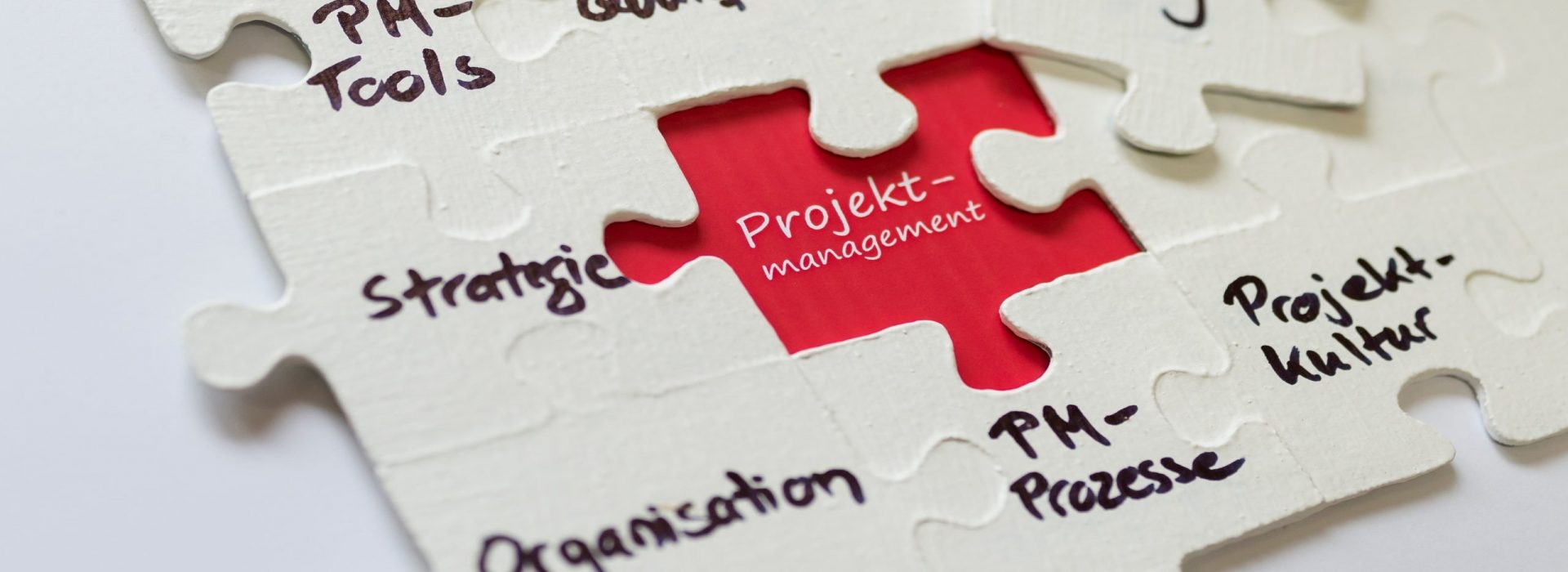 handbuch projektmanagement