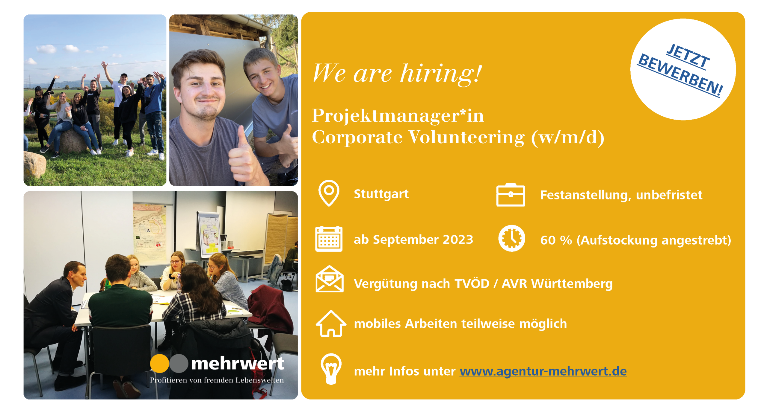 stellenausschreibung projektmanager