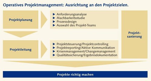 projektsteuerung projektmanagement