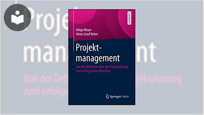 springer projektmanagement