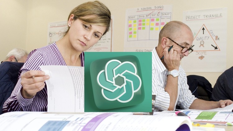 udemy projektmanagement