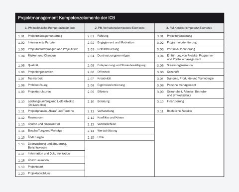 international projektmanagement