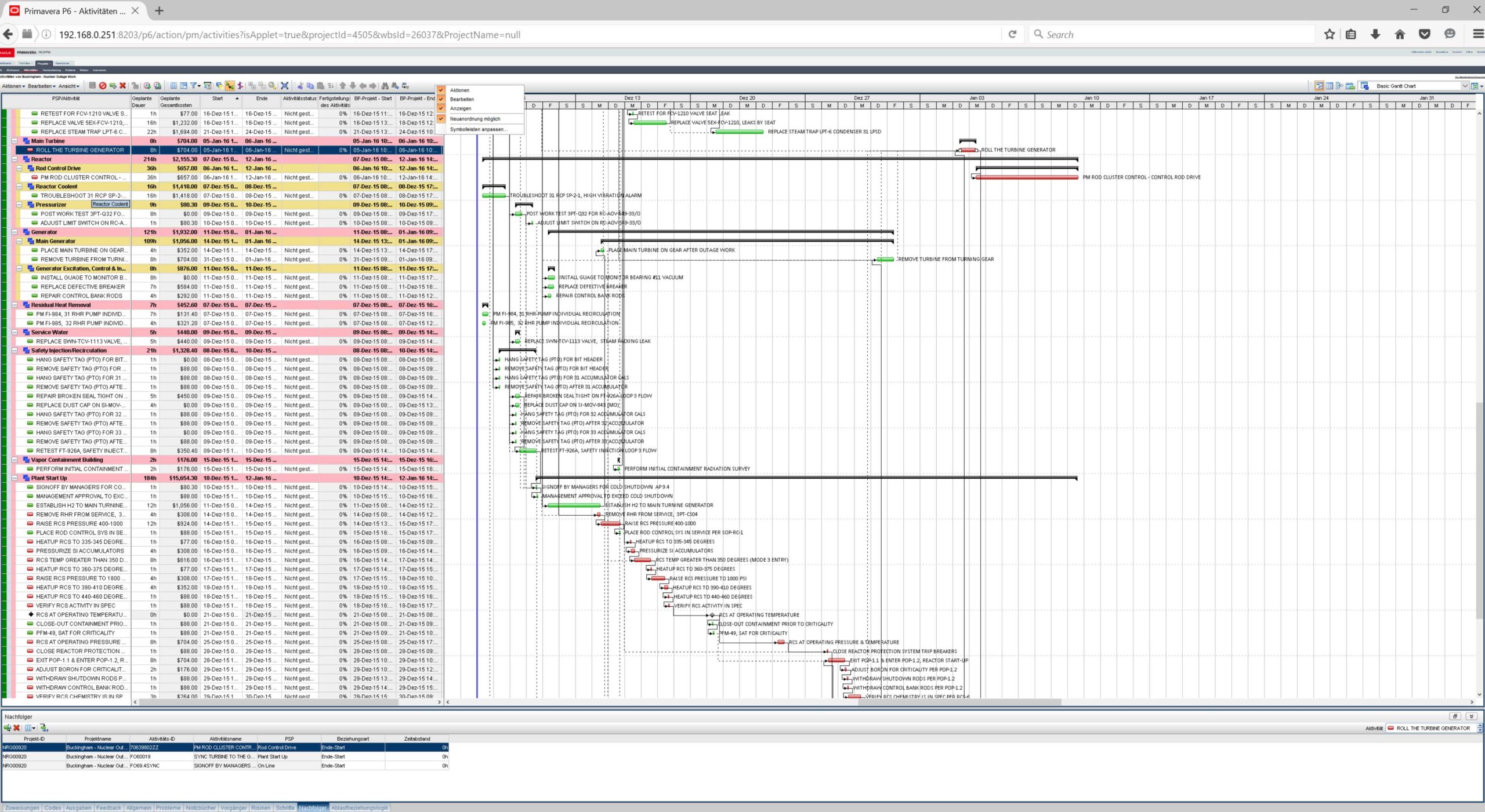 primavera projektmanagement