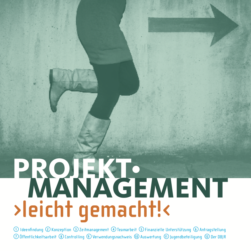 0816 projektmanagement
