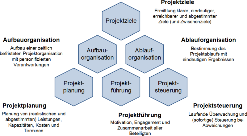 consultant projektmanagement
