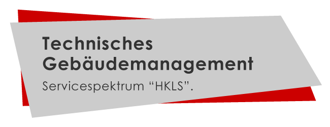 dgs ingenieurgesellschaft für projektmanagement