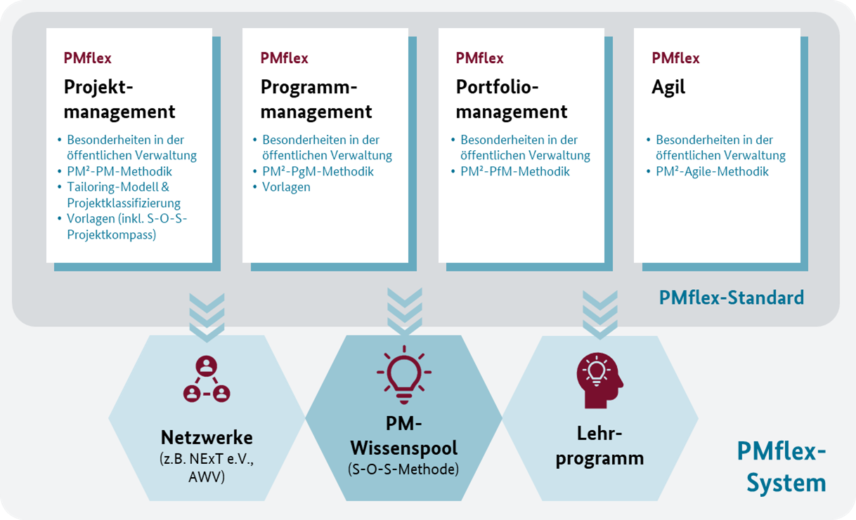 portfolio projektmanagement